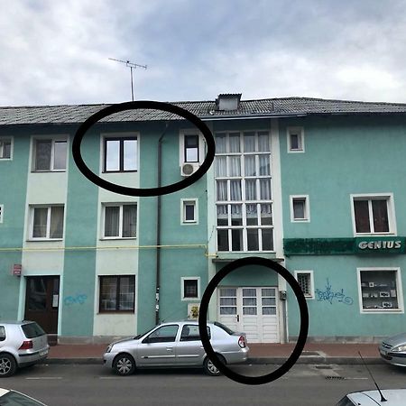 Vintage Apartment Сучава Экстерьер фото