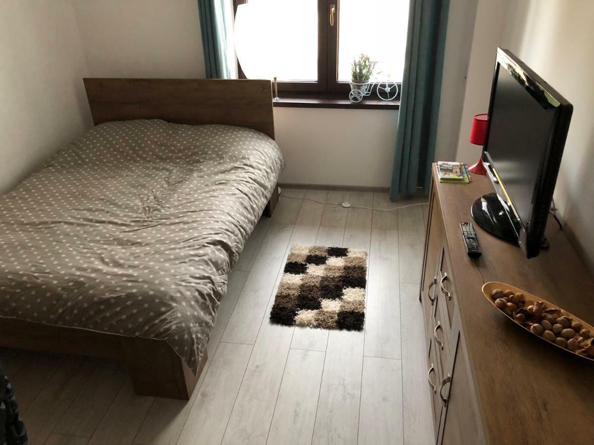 Vintage Apartment Сучава Экстерьер фото
