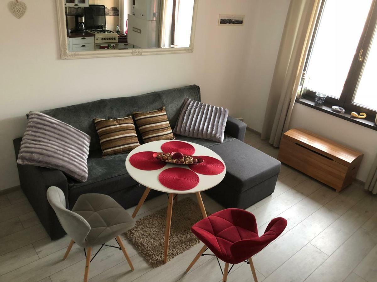 Vintage Apartment Сучава Экстерьер фото